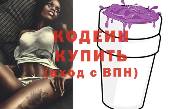 гашик Гусев