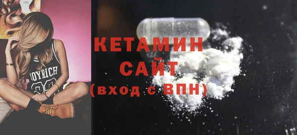 индика Гусь-Хрустальный