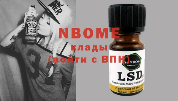 индика Гусь-Хрустальный