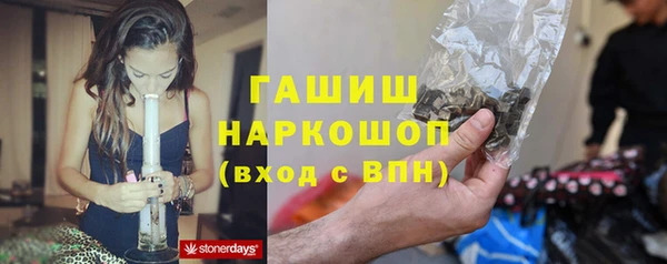 индика Гусь-Хрустальный