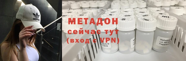 индика Гусь-Хрустальный