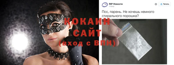 индика Гусь-Хрустальный