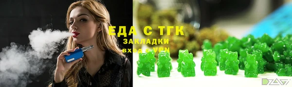 индика Гусь-Хрустальный