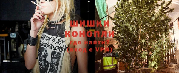 индика Гусь-Хрустальный