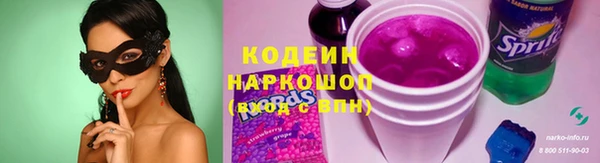 индика Гусь-Хрустальный
