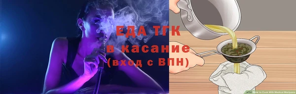 гашик Гусев