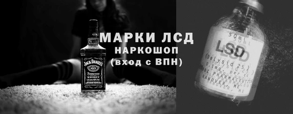 гашик Гусев