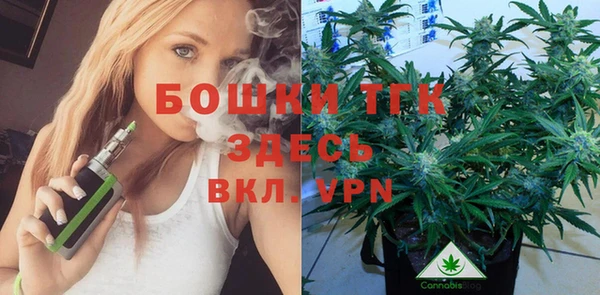 индика Гусь-Хрустальный
