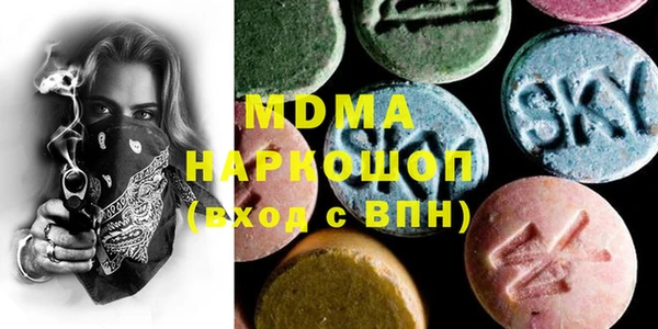индика Гусь-Хрустальный
