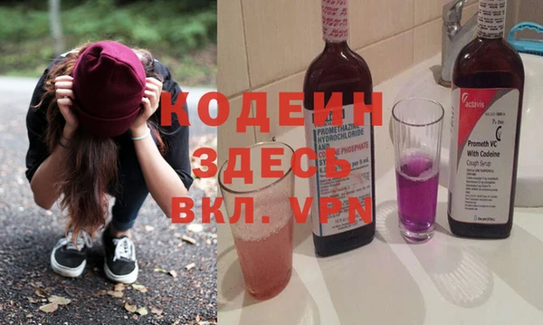 гашик Гусев