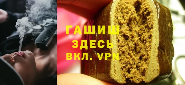 индика Гусь-Хрустальный