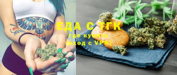 индика Гусь-Хрустальный