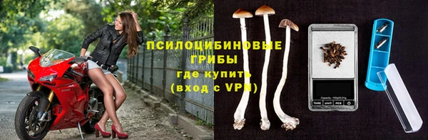 индика Гусь-Хрустальный