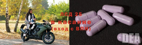 индика Гусь-Хрустальный