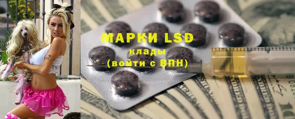 индика Гусь-Хрустальный