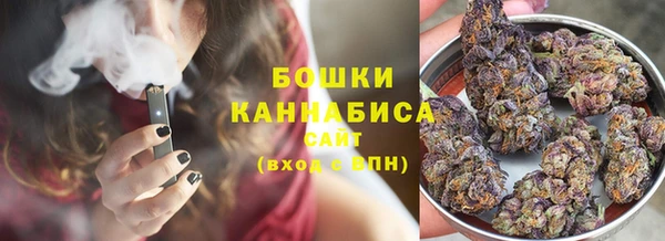 гашик Гусев