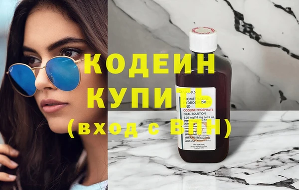 гашик Гусев