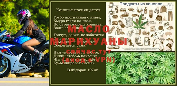 индика Гусь-Хрустальный