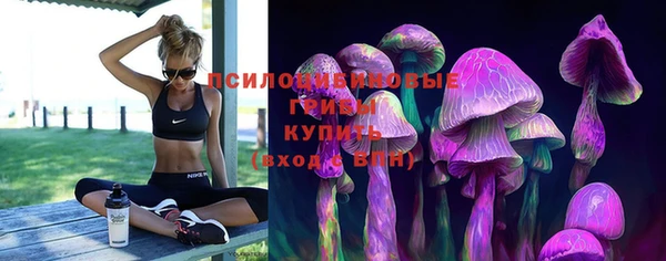 а пвп мука Гусиноозёрск