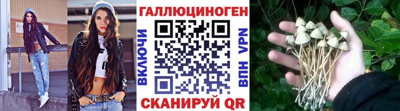 Галлюциногенные грибы MAGIC MUSHROOMS Ейск