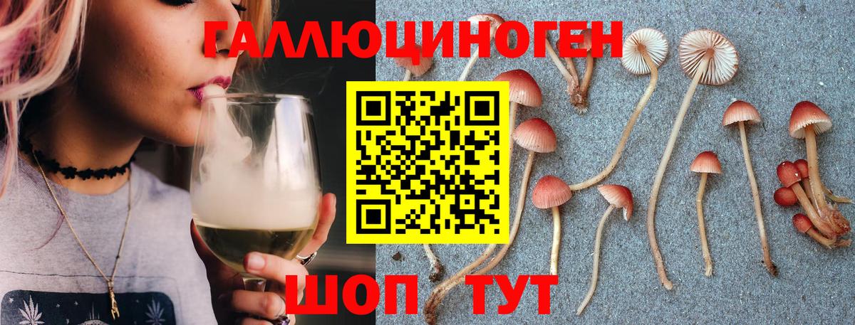 Псилоцибиновые грибы Cubensis Ейск